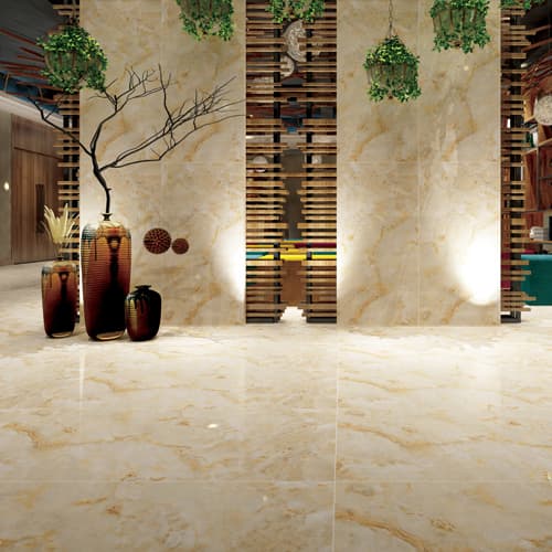 lobby floor tiles (NP60120-005YE)
