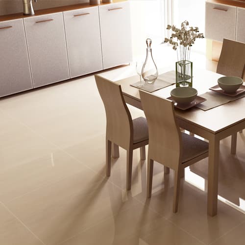 dining floor tiles design (NP6060-019BR)